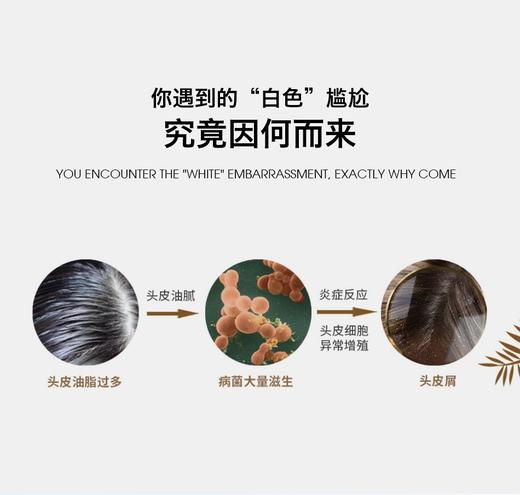 域发款冬200ml 商品图1