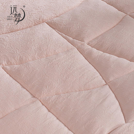 【远梦】澳洲羊羔毛生物绒被 商品图3