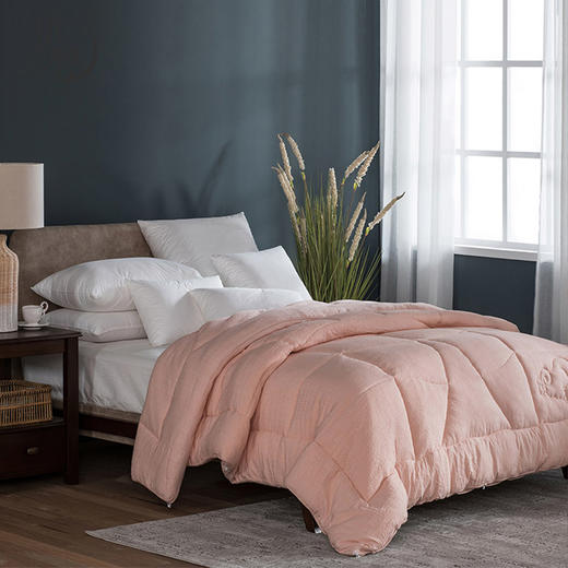 【远梦】澳洲羊羔毛生物绒被 商品图1