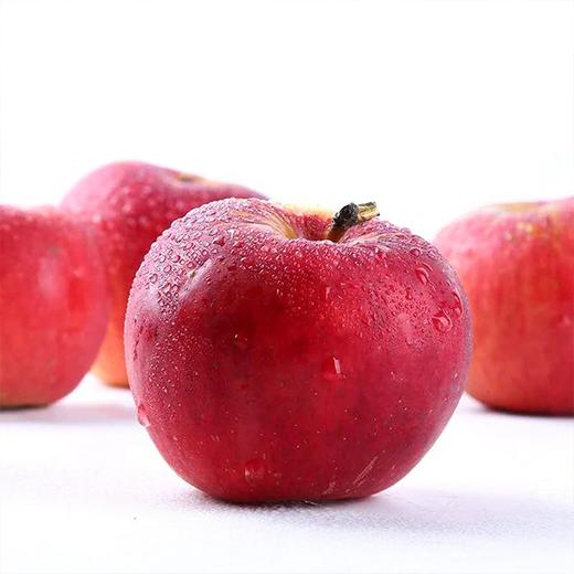 【云南昭通苹果】4枚/盒，多规格，肉质细腻，果味香浓 商品图1