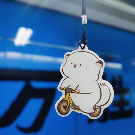 广州地铁四毛全国一卡通羊城通纪念卡（不含充值金） 商品图10