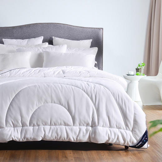 多喜爱 第二代德克抗菌分区保暖冬被 cs 商品图0