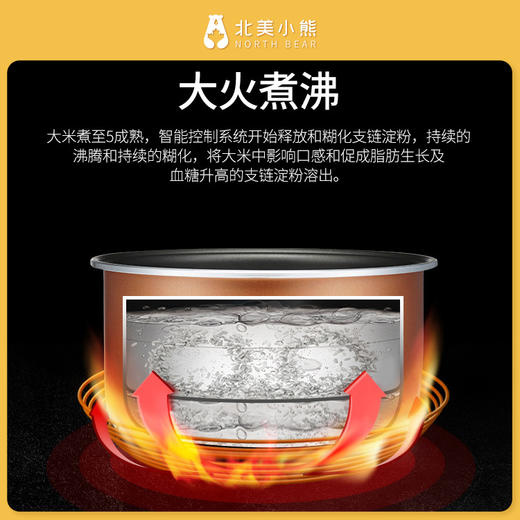 VDADA日本铁技降糖脱糖养生智能电饭煲 商品图6