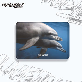 【周边】鲸鱼水晶玻璃磁性冰箱贴系列二