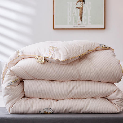 惠慈家居 生姜祛寒被 含生姜精华 冬天不惧严寒 羽丝棉被 3kg（200*230cm）2028-6 商品图1