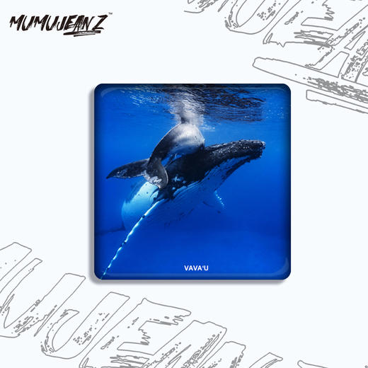 【周边】鲸鱼水晶冰箱贴旅游纪念海岛特色系列一 商品图2