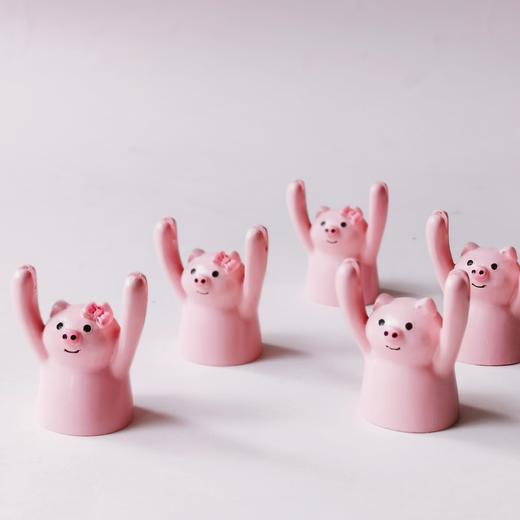 举牌告白猪（单拍不发货） 商品图6