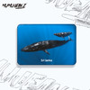 【周边】鲸鱼水晶玻璃磁性冰箱贴系列二 商品缩略图3