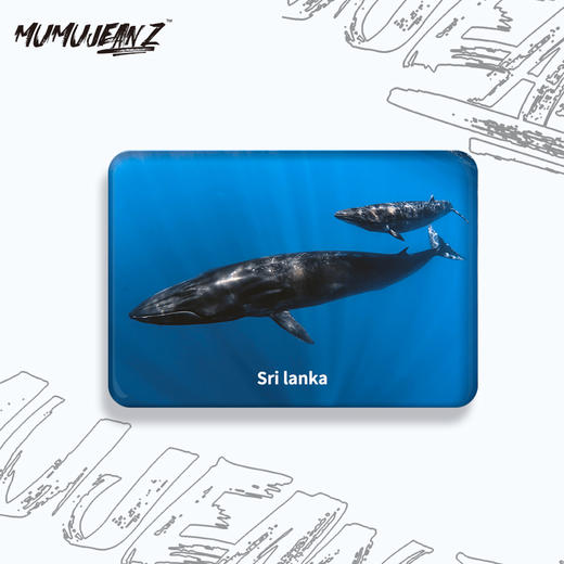 【周边】鲸鱼水晶玻璃磁性冰箱贴系列二 商品图3