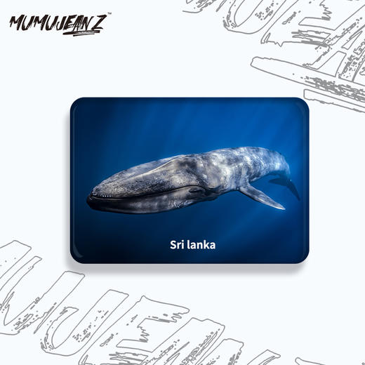 【周边】鲸鱼水晶玻璃磁性冰箱贴系列二 商品图2