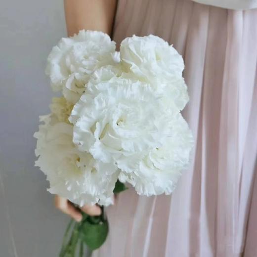 裙边洋桔梗【她没有焰火绚丽，也不像鸟儿会迁徙】简小姐精选甜美稀有浪漫紫色、白色裙边洋桔梗 15~20个花头 2束包邮 24小时发货 商品图1