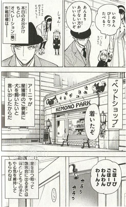 【中商原版】间谍过家家 4 漫画 日文原版 SPY FAMILY 4 ジャンプコミックス 商品图1