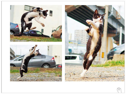 【预订】のら猫拳，野猫拳 摄影集 商品图2