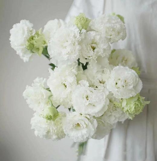 裙边洋桔梗【她没有焰火绚丽，也不像鸟儿会迁徙】简小姐精选甜美稀有浪漫紫色、白色裙边洋桔梗 15~20个花头 2束包邮 24小时发货 商品图3