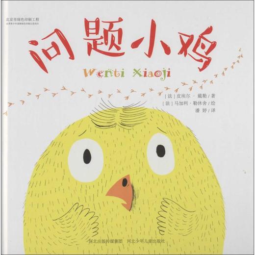 问题小鸡 商品图0