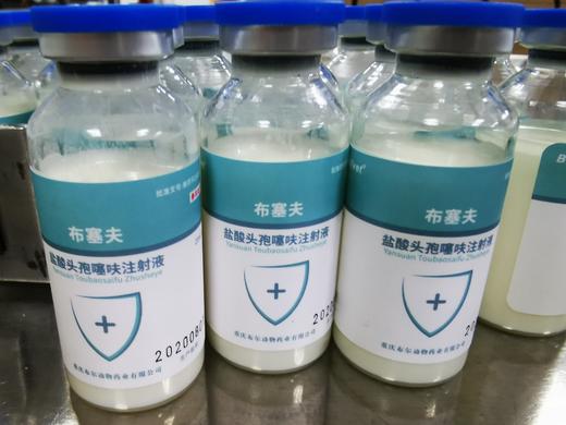 布尔-布塞夫(盐酸头孢噻呋注射液）2027年1月15号到期，20ml/瓶*2瓶/盒  长效120h，杆菌副猪嗜血杆菌等病原菌引起的肌内皮下注射一次量 犬猫 每1kg体重0.1ml/1瓶用 商品图2