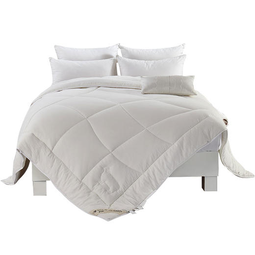 远梦澳洲羊毛双温被 商品图2