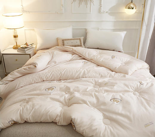 惠慈家居 生姜祛寒被 含生姜精华 冬天不惧严寒 羽丝棉被 3kg（200*230cm）2028-6 商品图6