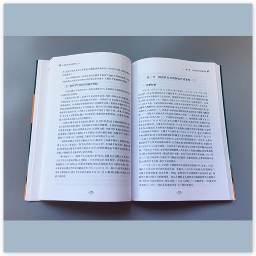 人体损伤的伤残评定——50个实例评残策略 商品图1