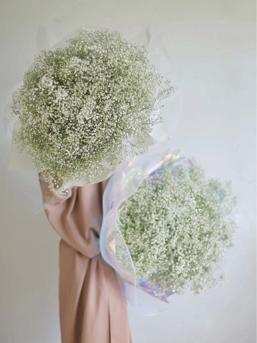 满天星【我携满天星辰以赠你，仍觉满天星辰不及你】简小姐精选A级多色满天星 500g 2束包邮 24小时发货 商品图1