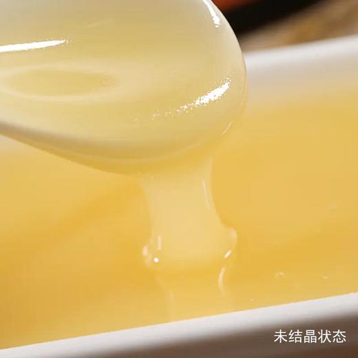 天野园·椴树雪蜜500g*2瓶装礼盒 好蜜出自长白山 甜糯甘润 状如羊脂 商品图3