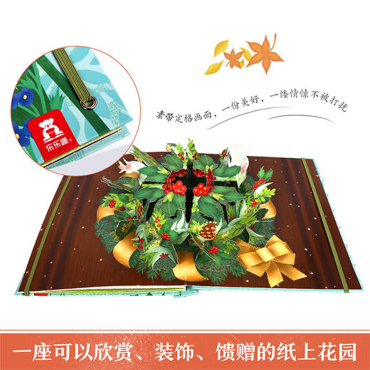 乐乐趣-《花·念》立体绘本 商品图4