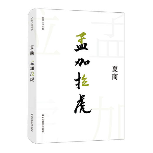 夏商小说系列套装 东岸纪事上下册+刹那记+猜拳游戏+标本师+裸露的亡灵+乞儿流浪记+八音盒+孟加拉虎 商品图4