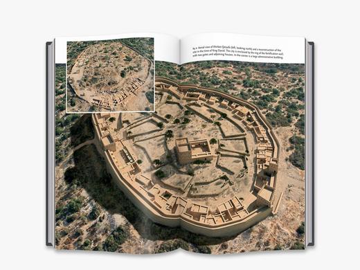 In the Footsteps of King David: Revelations from an Ancient Biblical City 跟随着大卫王的脚步  商品图4