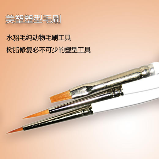 意大利美塑·牙用充填器（美塑·毛刷）单支-积分兑换 商品图0