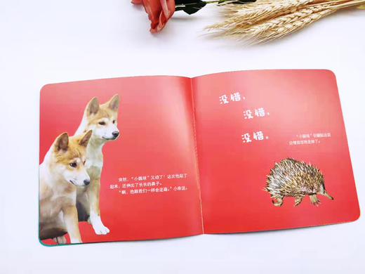 2026年4月起订一年 东方娃娃卜卜刊杂志订阅  婴儿期刊 0-3岁婴幼儿图书绘本 商品图4