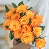 【金色海岸玫瑰.第二份减10元】10支/份 长约60-65cm 商品缩略图0