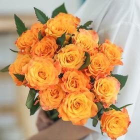 【金色海岸玫瑰.第二份减10元】10支/份 长约60-65cm