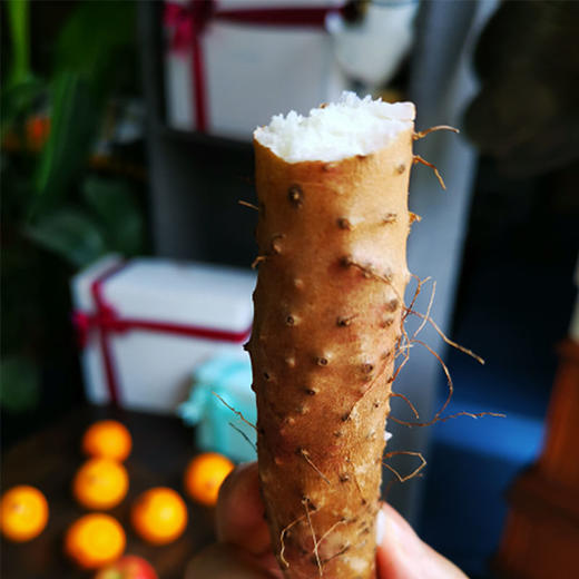 焦作温县有机铁棍山药 | 核心垆土区有机种植,十年轮耕,,真铁棍!（产地直发2-3天到货） 商品图3