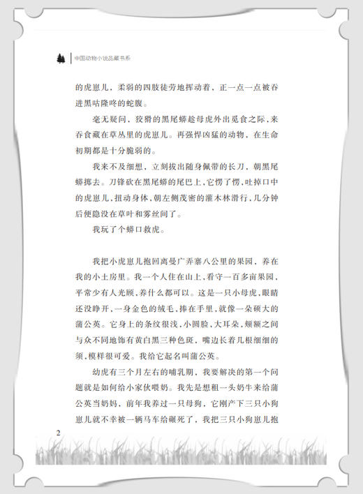 【钟书阁】沈石溪动物小说正版 消失的狼群 小学生三四五六年级课外阅读书籍儿童文学读物经典书目 商品图2