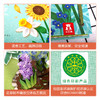 乐乐趣-《花·念》立体绘本 商品缩略图6
