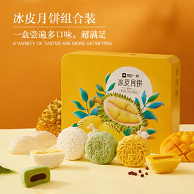 组合冰皮月饼600克(100克*6)【含礼品袋】  | 榴芒一刻