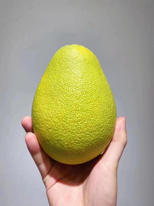 收到货以后需要放置通风处辞水,也就是大家常说的消水, 辞水后的文旦