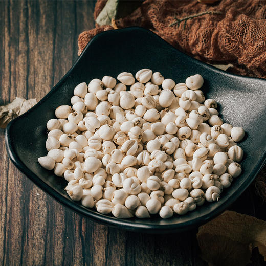 一盏心愿会员专属丨四川阿坝特级松贝50克