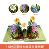 乐乐趣-《花·念》立体绘本 商品缩略图2