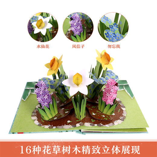 乐乐趣-《花·念》立体绘本 商品图2