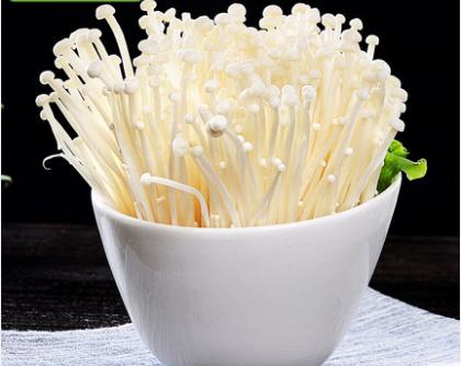 无根金针菇袋装5斤