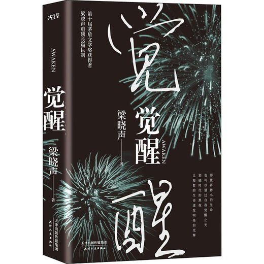 觉醒 商品图0