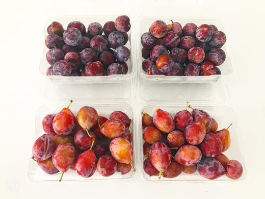家庭实惠套装 西梅2斤 樱桃李2斤 一起68/套