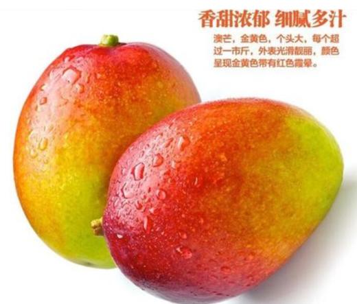 猕猴桃111 商品图0