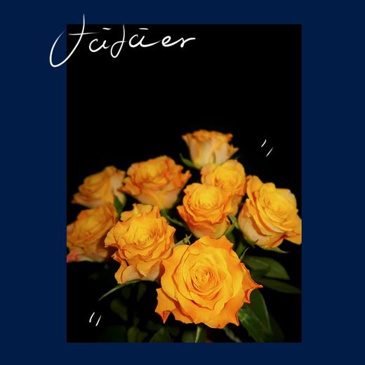 【金色海岸玫瑰.第二份减10元】10支/份 长约60-65cm 商品图1