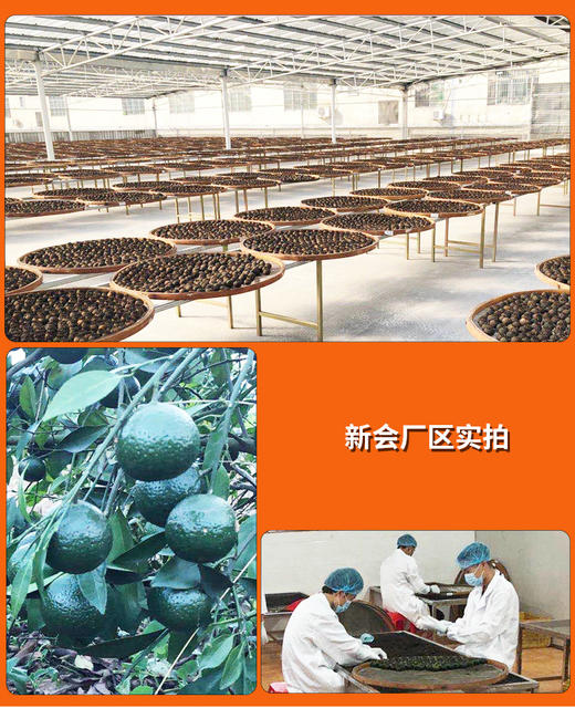 小青柑（新会）文火浓香 7月果 200克 各年份 商品图3