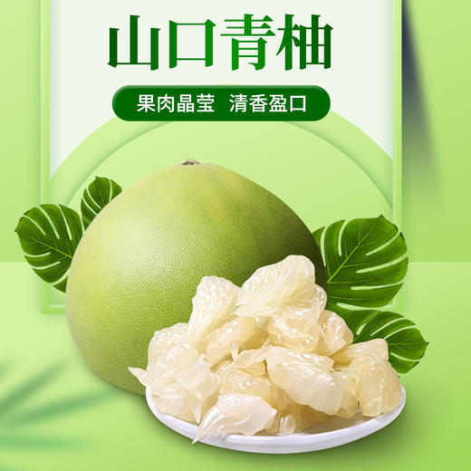 【海南澄迈●山口青柚】无籽水晶蜜柚 青柚 源自世界长寿之乡 富硒福