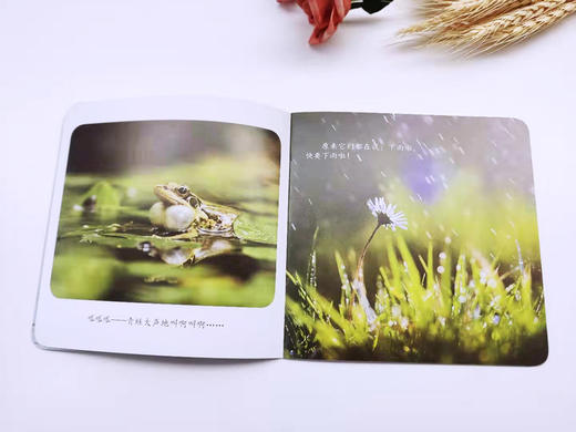 2026年4月起订一年 东方娃娃卜卜刊杂志订阅  婴儿期刊 0-3岁婴幼儿图书绘本 商品图6