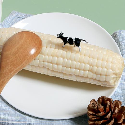 北海道日式奶香玉米8根装包邮不加糖自然甜非转基因开袋即食 商品图2