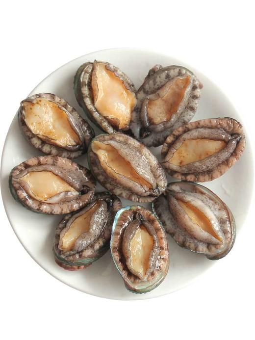 小鲍鱼  一斤15-16只上下 商品图0